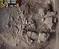 Burial 22. Excavation at exposition 3.