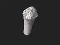 Isolated bone (PN3305) - 3D