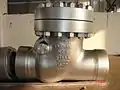 Large carbon steel swing check valve