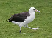 At Princeville, Hawaii