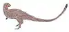Life restoration of Laellynasaura.