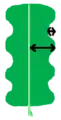pinnately-cleft