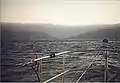Tank and keel in tow - Catalina Isthmus in the background.