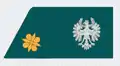 Leutnant(2nd lieutenant)Tyrol