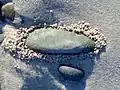 Unexplained crumbs of sand that appear to have been deposited around stone by escaping air.