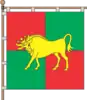 Flag of Litky