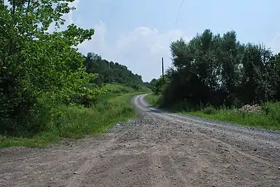Wooded area