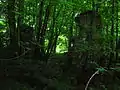 Ruins of the old Lylestone Row