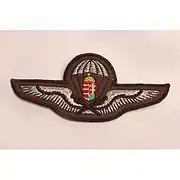 Parachute rating for warrant officers and NCO's