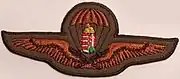 Parachute rating for conscripted soldiers