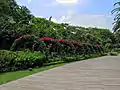 Sweet Garden