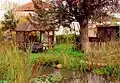A pond which represents the freshwater lakes