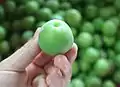 Washed and stemmed plum
