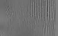 Magnetic domains and domain walls in oriented silicon steel (image made with CMOS-MagView)