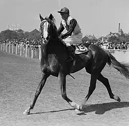 Magnificent, 1945 winner.