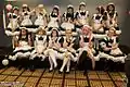 The maids at Anime Midwest's maid cafe.