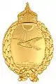 badge for navy pilots from seaplanes 1913