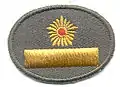 Field uniform cap insignia
