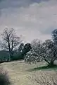 Maymont in the winter.