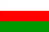 Flag of Mazcuerras