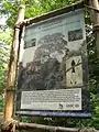 Sign to the treetop walk