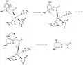 Steps 9-11 of the mechanism