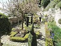 Mediterranean garden in Alpes-Maritimes, France