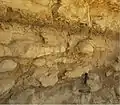 Thalassinoides burrowing system throughout the Menuha Formation chalk.