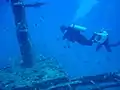 Recreational scuba divers.