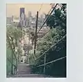 The Middle Street city steps in East Allegheny. Photo by Laura Zurowski.