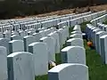 Headstones in Area&nbsp;8