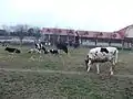 Mōmōland Aburayama farm