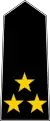 Captain