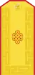 Mongolian Army-BRG-parade 2006-2011