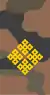 Mongolian Army-CPT-field 1998-2011