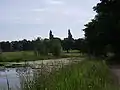 Eastern view in Drumpellier Park