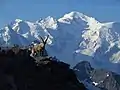 View of Mont Blanc from Mont Buet