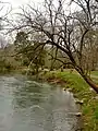 Shoal Creek at Orr Park in Montevallo.