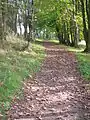 The old carriage looking towards Auchentiber.
