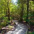 Garden Path
