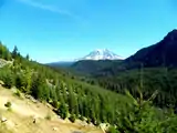 Mount Adams from East Canyon Ridge