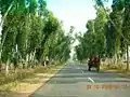 Roads to Village
