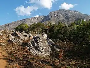 Monte Binga