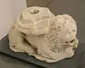 Stylophorus Lion