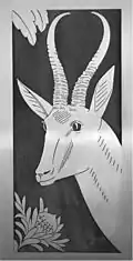 Springbok (Antidorcas marsupialis), with a king protea (Protea cynaroides), the national flower