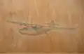 A sea plane