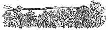 Myndie as represented by Aborigines of Victoria, circa 1878.
