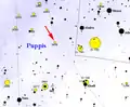 Map showing the location of NGC 2439