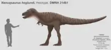 Scaled living reconstruction of the Nanuqsaurus holotype specimen, here interpreted as a sub-adult/juvenile Tyrannosaurine