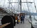 The Bridge